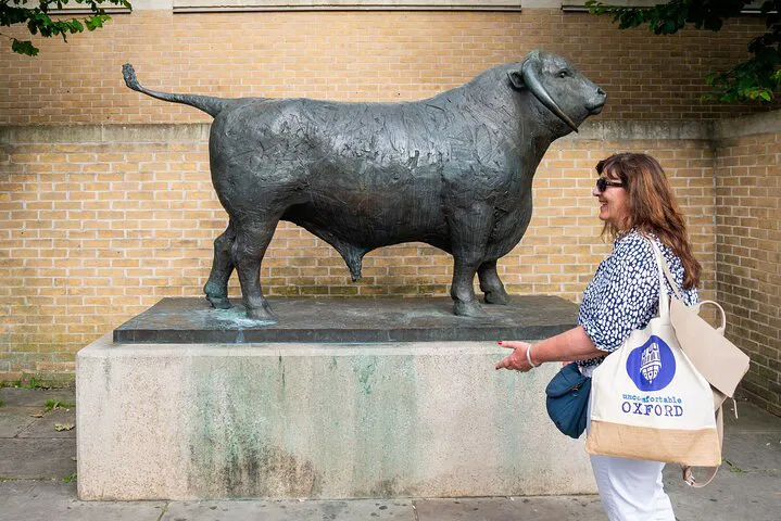 Uncomfortable Oxford™: Uncover the University's Financial Secrets