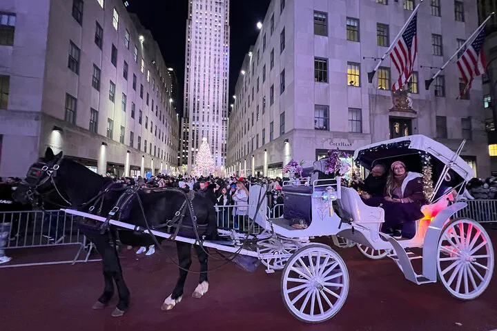 NYC Christmas Lights: Magical Horse Carriage Ride Through Winter Wonderland