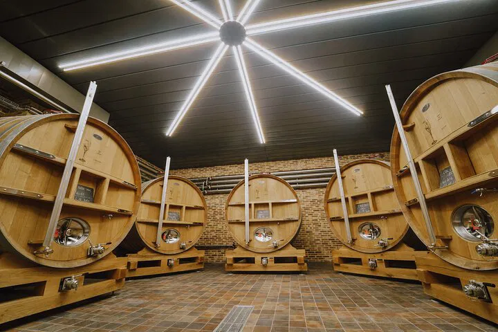 Unveiling Champagne's Secrets: A Private Tasting Journey in Reims