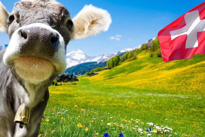 Indulge in Gruyères: A Luxurious Swiss Excursion