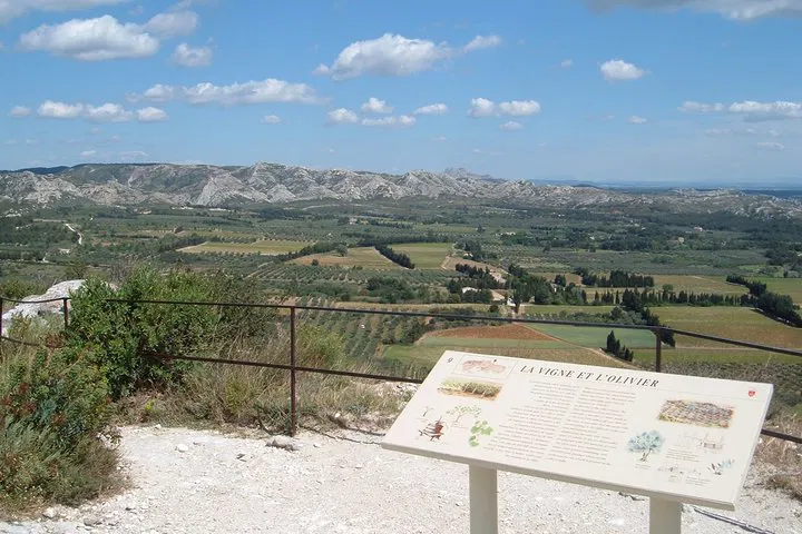 Provence Wine Tour: Discovering Reds & Rosé with a Private Driver