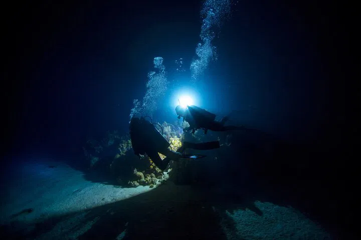 Oahu Night Dive: Explore Maunalua Bay's Underwater Wonders!