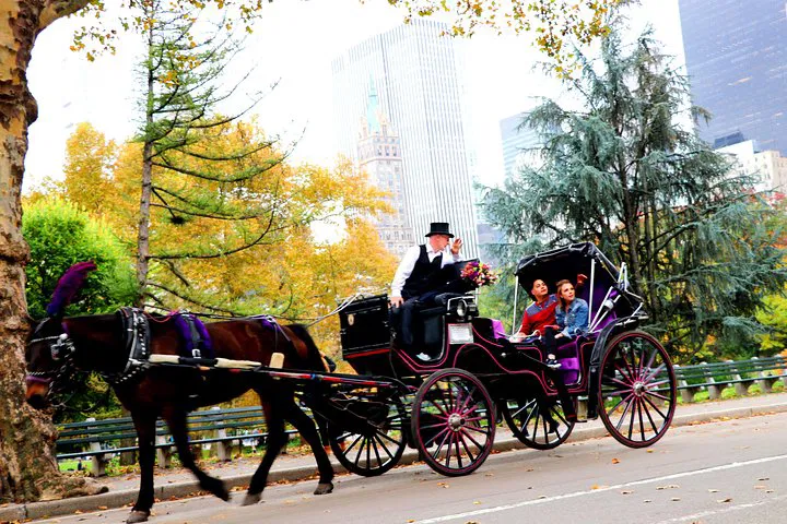 Enchanting Central Park Carriage Ride: A Short & Sweet NYC Escape