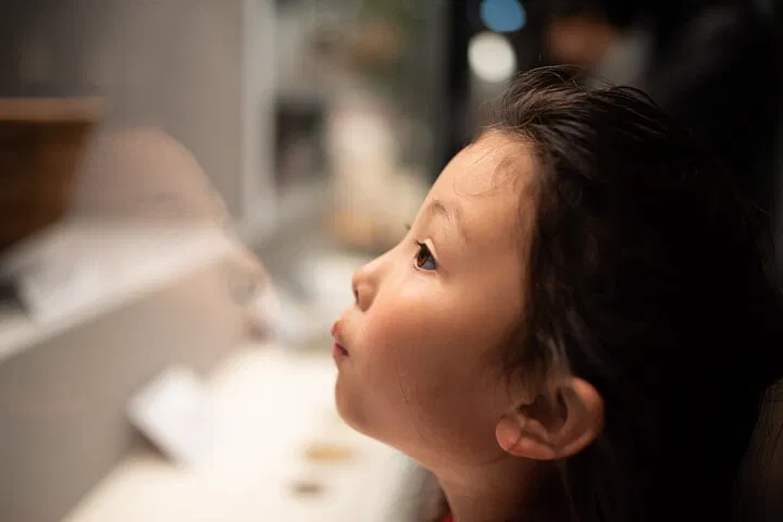 Unleash Family Fun: NYC Met & Central Park Adventure for Kids!