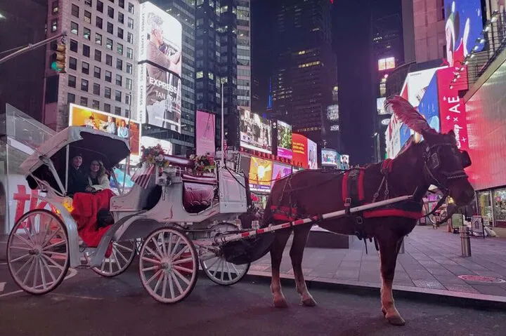 NYC Holiday Magic: Christmas Lights & Rockefeller Center Carriage Tour