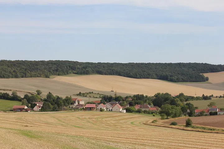 Unforgettable Champagne Family Vineyard Tour: Taste, Discover, and Savor