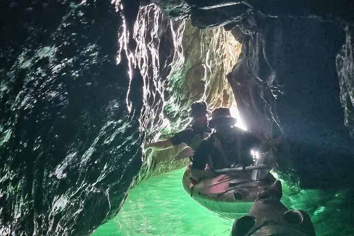 English Riviera Kayak Safari: Sea Caves & Wildlife