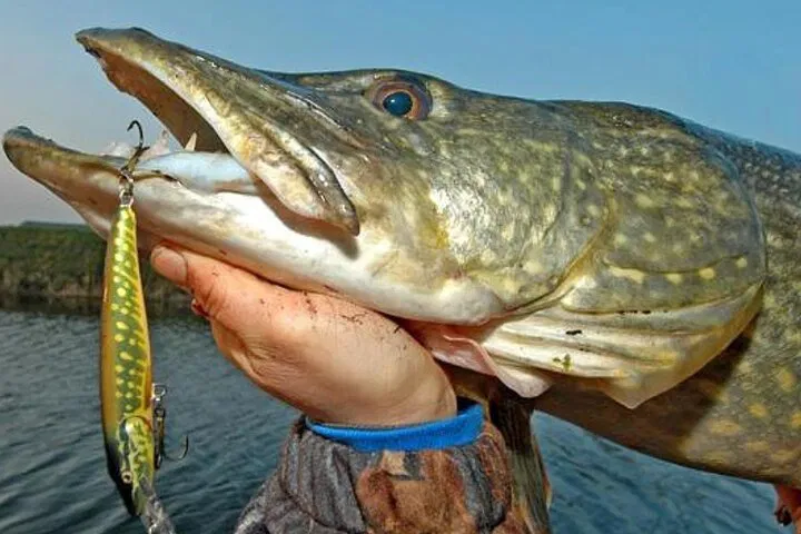 Connemara Pike Adventure: Guided Shore Fishing on Lough Corrib