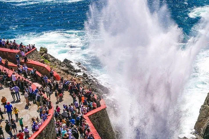 Unveiling Ensenada's Treasures: Private Bufadora Blowhole & Market Tour!