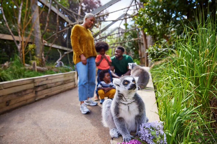 London Zoo: Skip-the-Line Entry Ticket