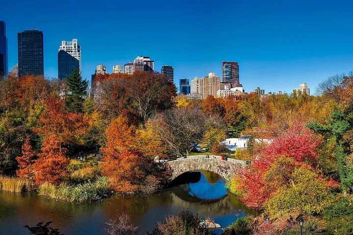 Central Park Shakespeare Quest: Uncover Hidden Stories!