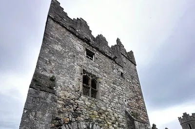 Image 2