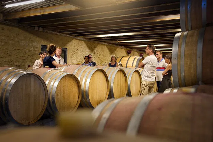 Discover Château Gigognan: Wine, Lavender & Provençal Charm