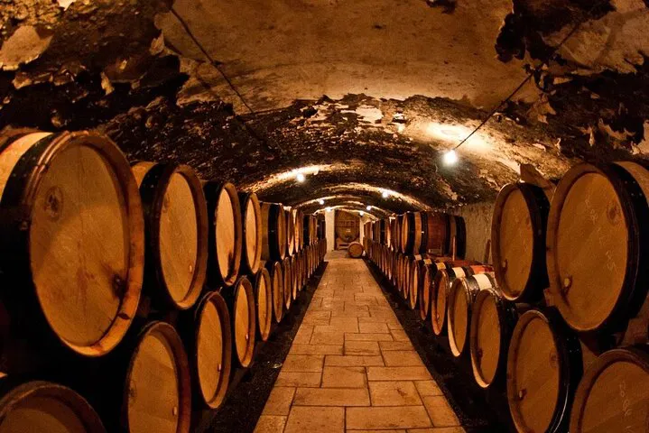 Indulge in a Luxurious Champagne Region Excursion from Paris