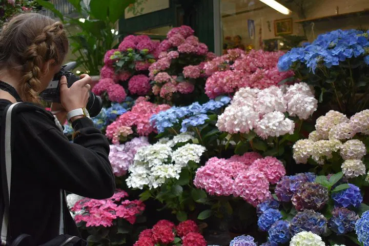 Parisian Market Adventure: A Culinary Walking Tour
