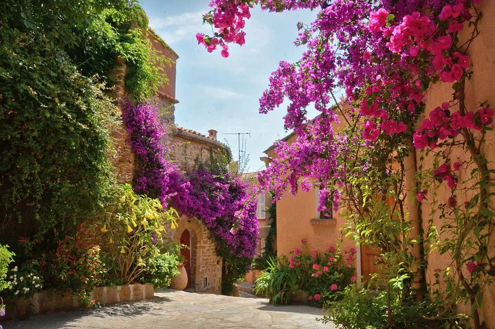 Discover Bormes-Les-Mimosas: A Luxurious Private Tour from Saint-Tropez