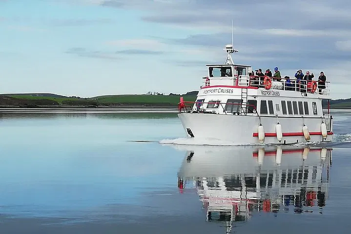 Clew Bay Cruise: Westport's Island Adventure