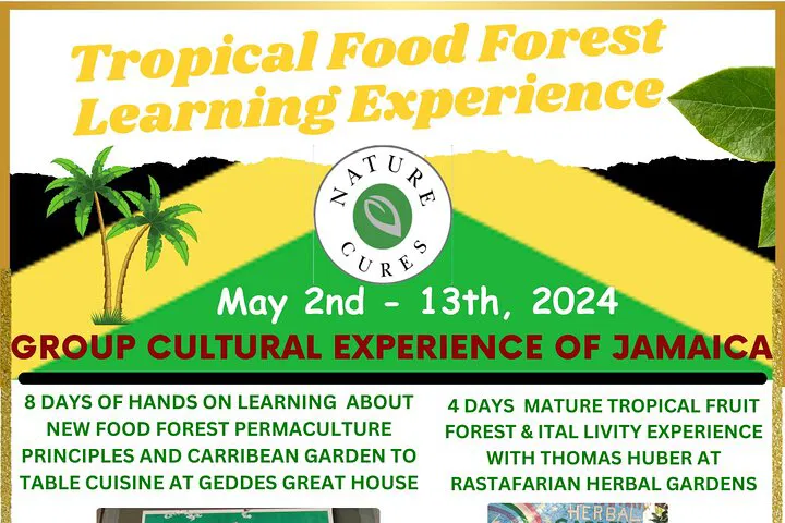 Immerse Yourself: Jamaican Food Forest & Rastafarian Herbal Experience