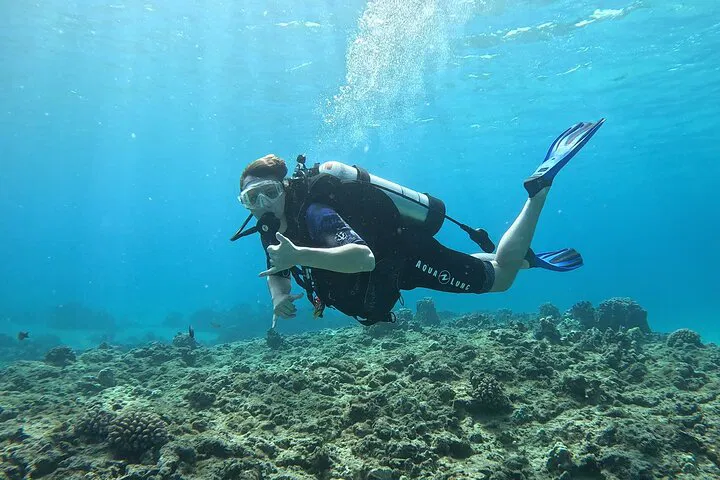 Electric Beach SCUBA Dive: No Certification Needed!