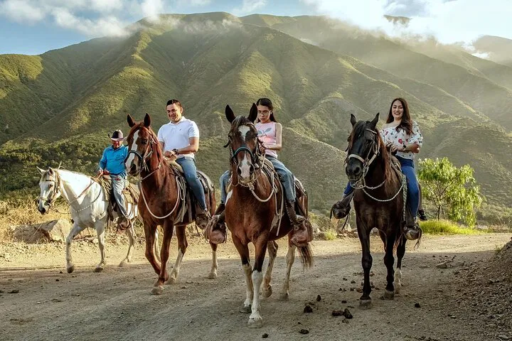 Ensenada Adventure: Thrilling Horseback Riding Through Las Cañadas Canyons