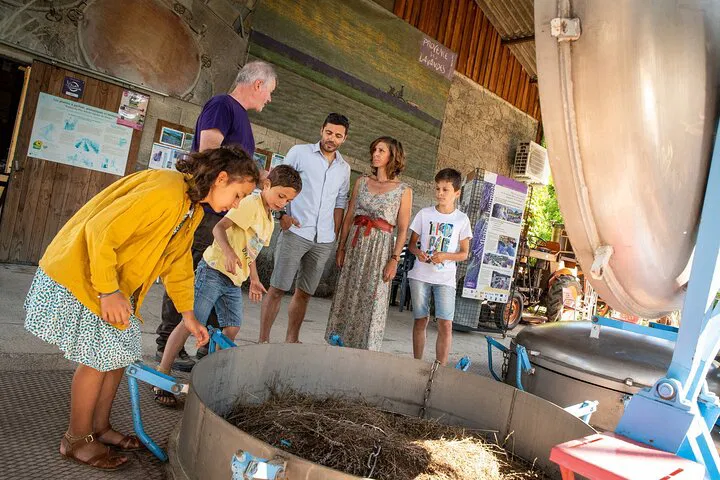Lavender Distillery Tour: Farm to Bottle Experience