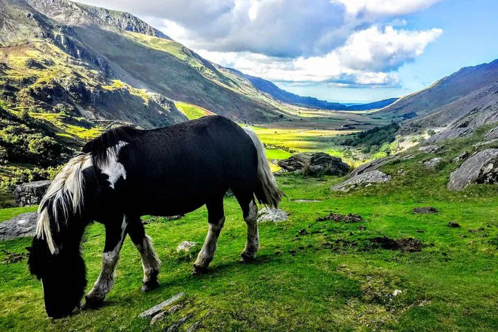 North Wales Adventure: See Castles & More from Manchester