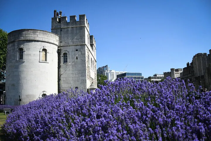 Tower of London & Westminster Walk: Private London Tour