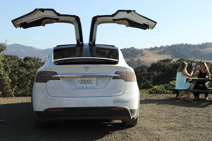 Unveiling Santa Barbara's Hidden Gems: A Tesla Wine Tour