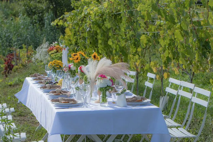 Saint Tropez Vineyard Dinner: Wine, Music & Chef!
