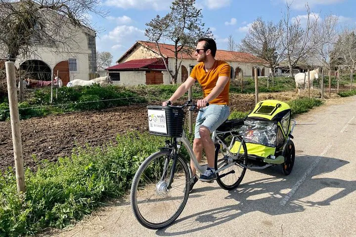 Montpellier Electric Bike Adventure: Beaches, Nature & Flamingos!