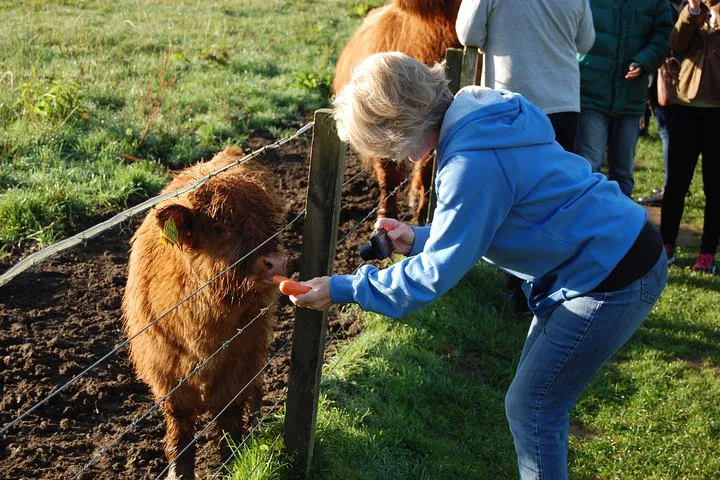 Unforgettable 5-Day Scottish Adventure: Edinburgh Departure!