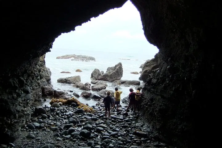 Pirate Adventure Awaits: Explore Sea Caves & Sing Sea Shanties in Dana Point!