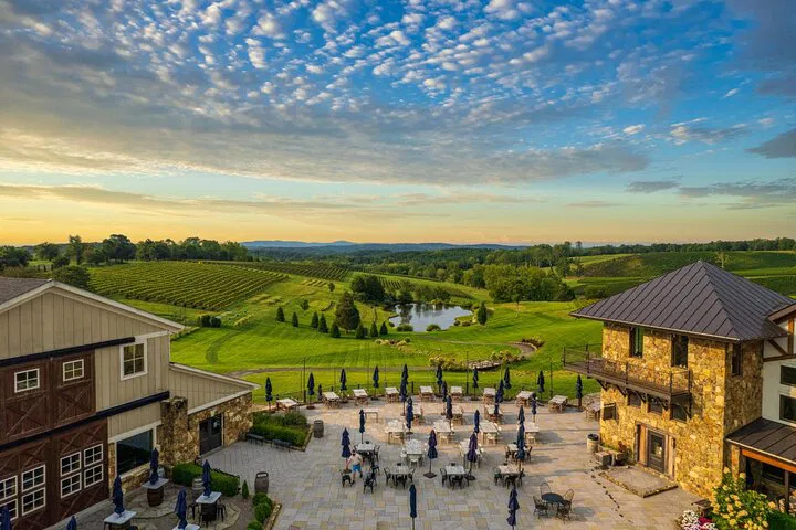 DC Wine Tour: Loudoun County Luxury Limo Experience