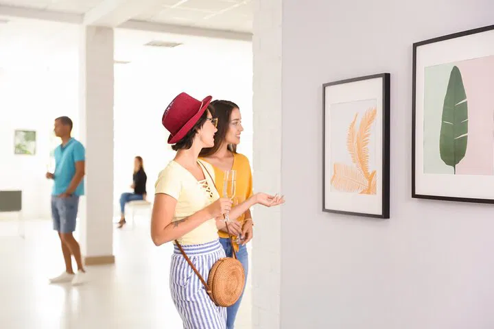 MFA Boston: Skip-the-Line Private Guided Tour