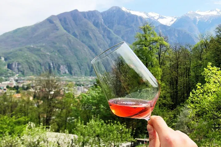 Ossola Valley Wine Immersion: A Family Tasting Adventure