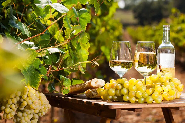 Provence Tour: Market, Wine & Waterfall Views!