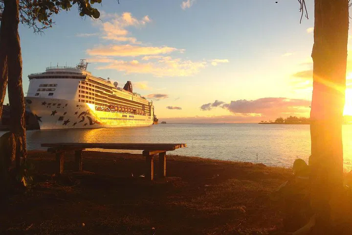 Oahu Private Tour: First, Last & Transfer Day with Luggage!