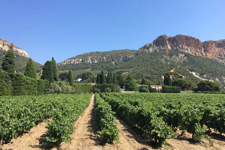 Bandol & Cassis Wine Tour from Aix: Taste Provence
