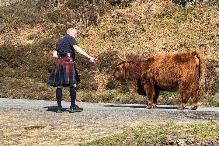 Unveiling the Scottish Highlands: A Luxurious, Personalized Journey