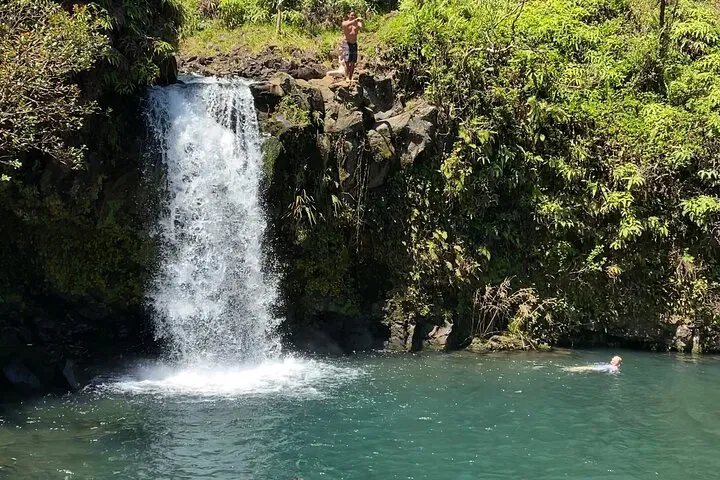 Hana & Beyond: Rainforest Adventure Tour