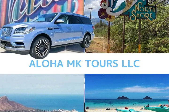 Private North Shore & Dole Customizable Tour