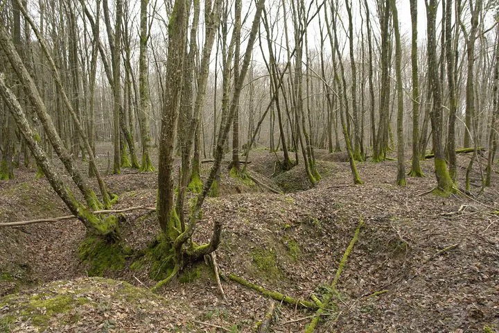Step Back in Time: A Personal WW1 Trench Experience