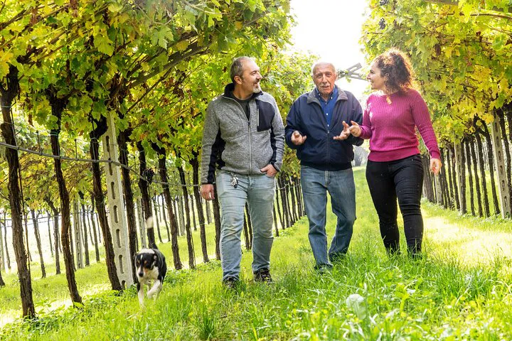 Verona Wine Tour: Exclusive Family Winery & Pizza Lunch