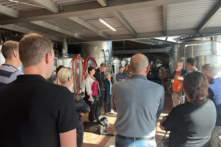 Barolo Wine Tour: Taste with the Winemaker!