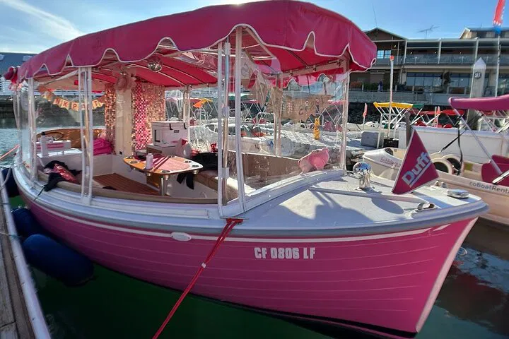 Bachelorette Bliss: Pink Boat Cruise on San Diego Bay!
