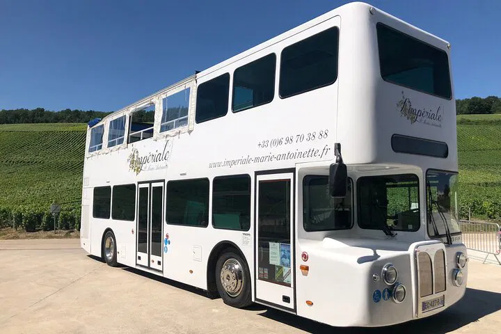 Epernay's Royal Vineyard Bus Tour: Champagne, Views & Marie Antoinette!