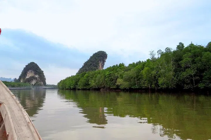 Krabi Mangrove Exploration: A Longtail Boat Adventure