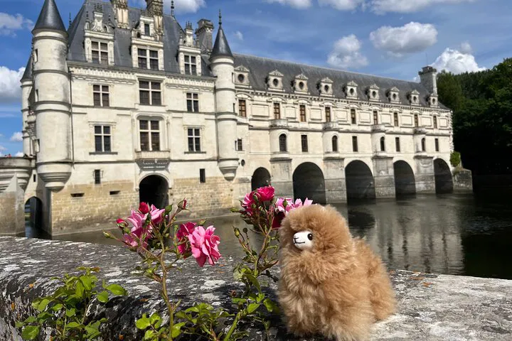 Loire Valley Castles Tour: Wine Tasting & Small Group