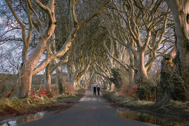 Unveiling Northern Ireland: Giant's Causeway Day Trip from Belfast