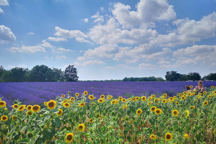 Discover Luberon Villages: A Private Day Trip from Arles